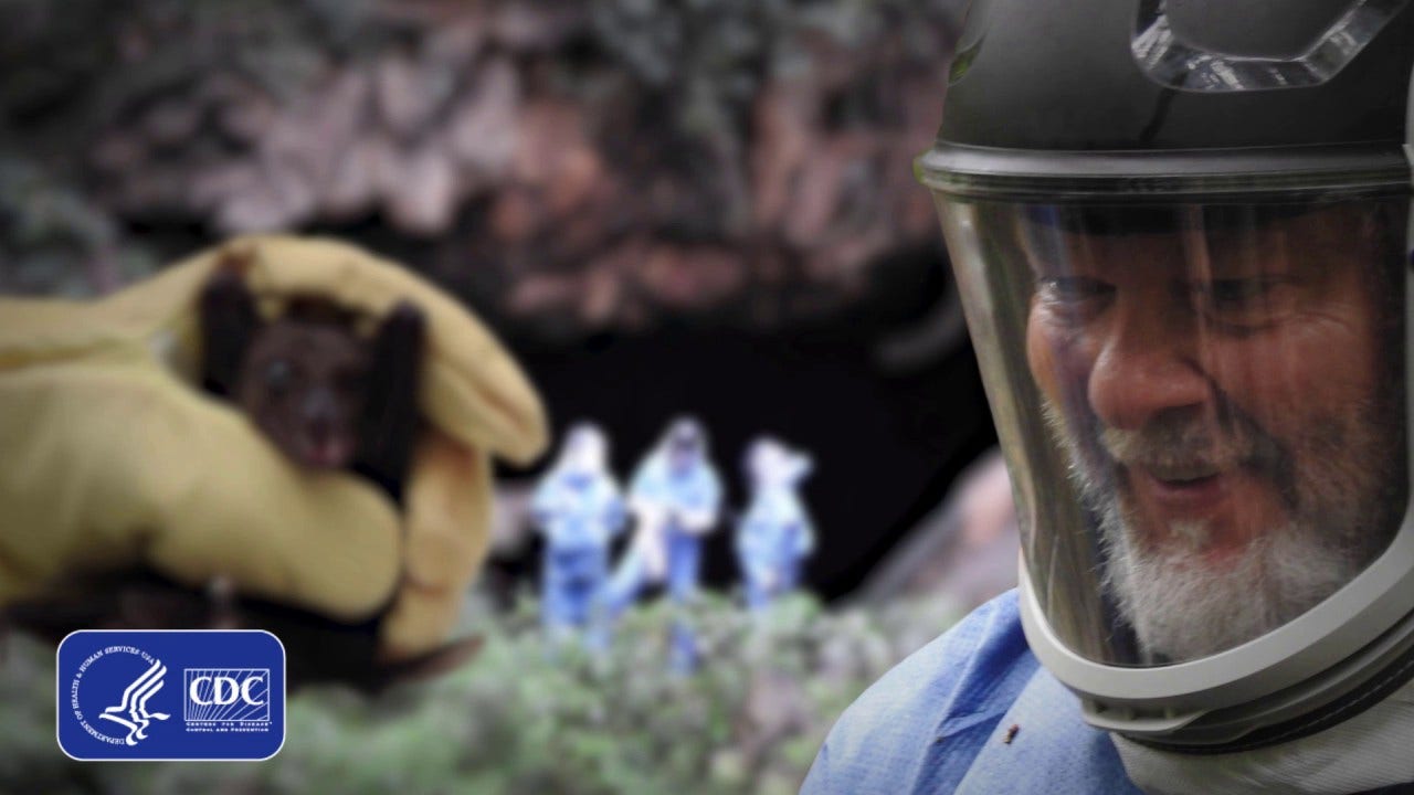CDC scientists spearhead project to track Marburg virus on bats