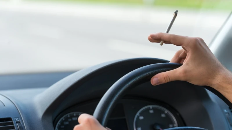 Marijuana users driving high face deadly consequences, research shows