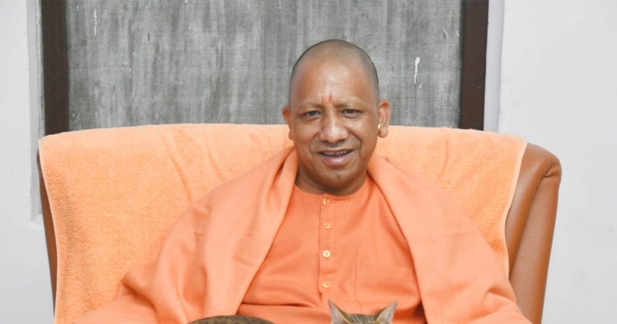 2022 के अंतिम दिन ट्विटर पर छाई CM योगी आदित्यनाथ की गोद में सुकून से बैठी बिल्ली, लोगों ने जमकर किया रीट्वीट