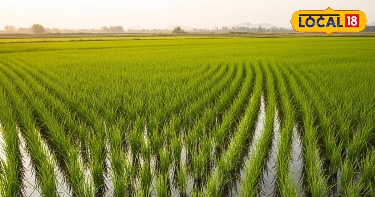 राजा रघुवंशी मर्डर केस: भाई विपिन कल जाएंगे शिलांग, होने वाला है बड़ा खुलासा?