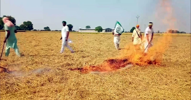 CAQM empowers DCs to take penal action against govt officials who fail to curb stubble burning