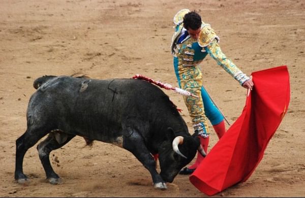 Children taught bullfighting at Venezuelan torero school-