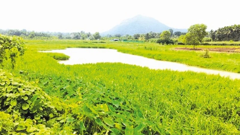 Encroachments put Jharkhand ‘queen of hills’ at risk