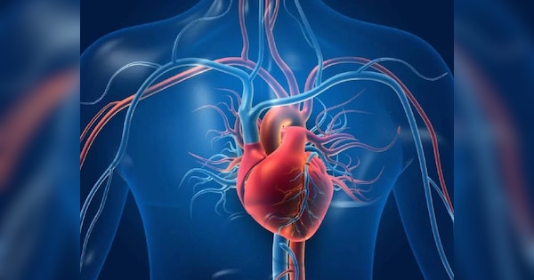 Late menopause good for vascular health in women research | 50 के बाद भी आते हैं पीरियड्स? लेट मेनोपॉज हार्ट हेल्थ के लिए है फायदेमंद, शोध में हुआ खुलासा