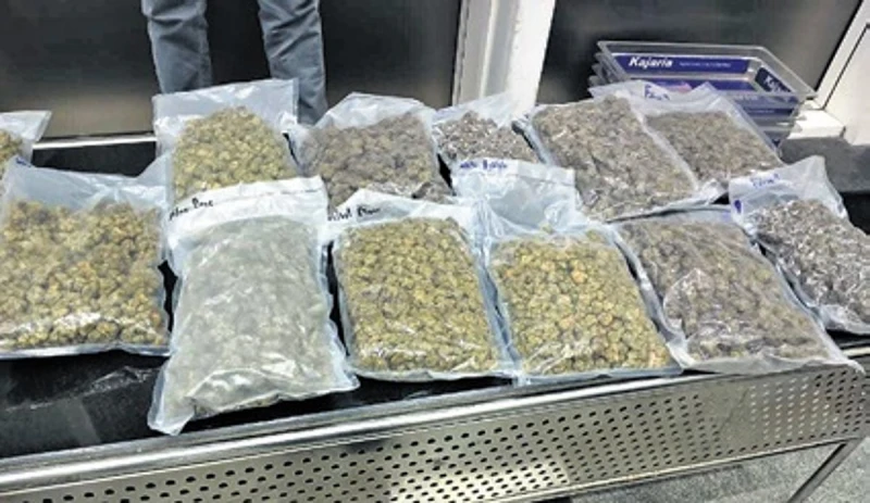 Marijuana worth Rs 2.25 crore being taken to influence voters in Bihar seized from Jharkhand