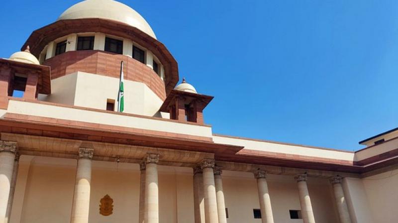 The apex court clubbed all the petitions with the Green Bench. (ANI File Photo)
