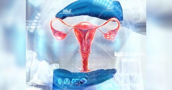 These 3 spices are a panacea for women problems health coach advised to eat daily you will get these benefits | औरतों वाली प्रॉब्लम के लिए रामबाण ये 3 मसाले, हेल्थ कोच ने दी रोज खाने की सलाह, मिलेंगे ये फायदे