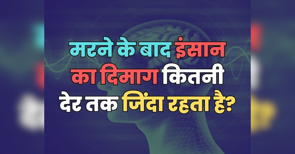Trending Quiz : क्या आप जानते हैं, मरने के बाद इंसान का दिमाग कितनी देर तक जिंदा रहता है? | Trending Quiz General Knowledge Question Do you know how long does the human brain remain alive after death