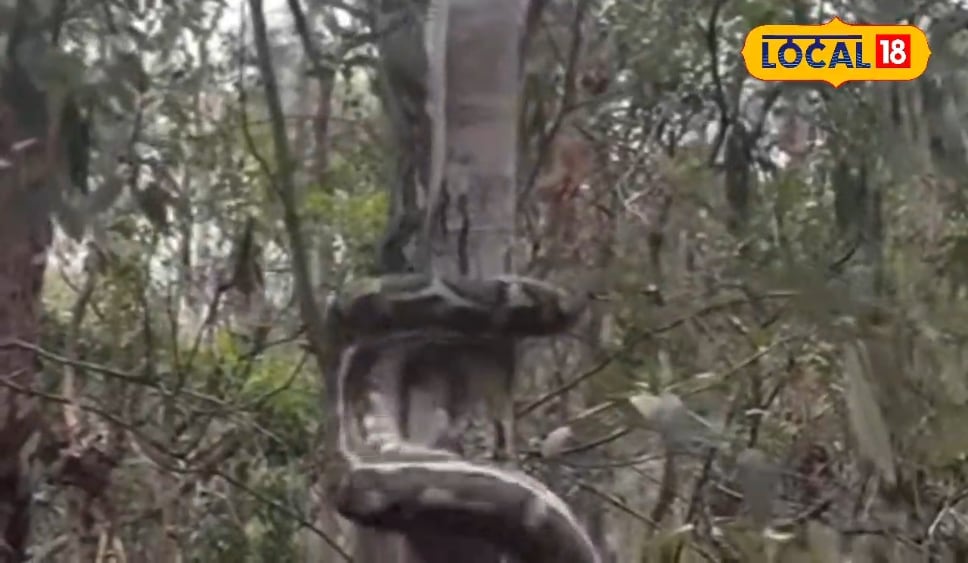 हैदराबाद के ये 6 कैफे नहीं, स्वाद के जादूघर हैं…जो एक बार आए, फिर बार-बार लौटे