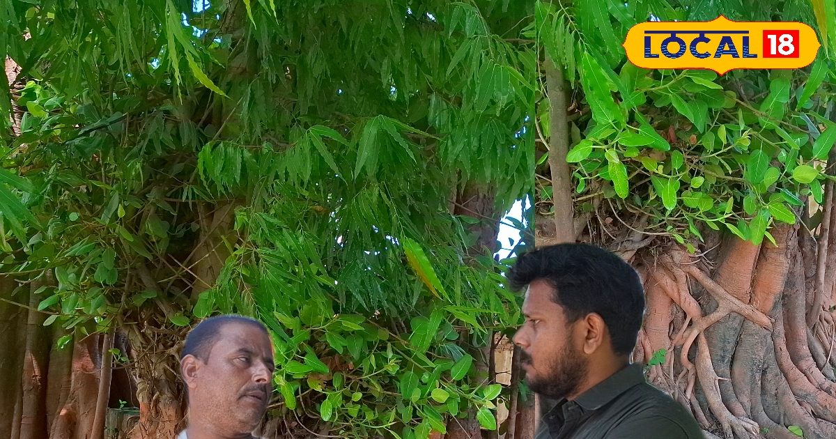 हर साल तिल-तिल बढ़ता है ये शिवलिंग…चमत्कारी मंदिर जहां विज्ञान भी हैरान!