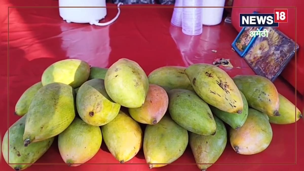 बाजार में आम का जूस पीने वाले सावधान! सेहत के लिए हानिकारक, जानें हेल्थ एक्सपर्ट की राय...