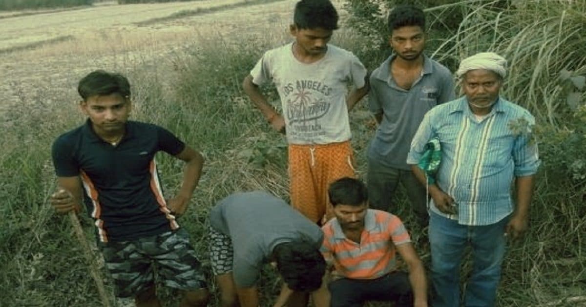 भीषण गर्मी से पैदा हुआ जल संकट जानवरों पर पड़ रहा भारी, कुत्तों के हमले से 3 हिरणों की मौत