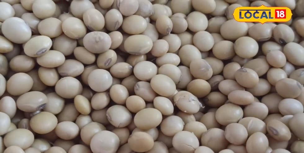 PM मोदी का मालदीव दौरा: मुइज्जू का बदला नजरिया? रिश्तों में लौटी गरमाहट