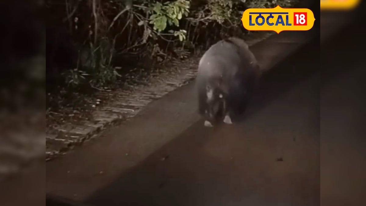 बदल गए हैं NEE UG काउंसलिंग के नियम, तीसरे राउंड के बाद सीट छोड़ना पड़ेगा महंगा