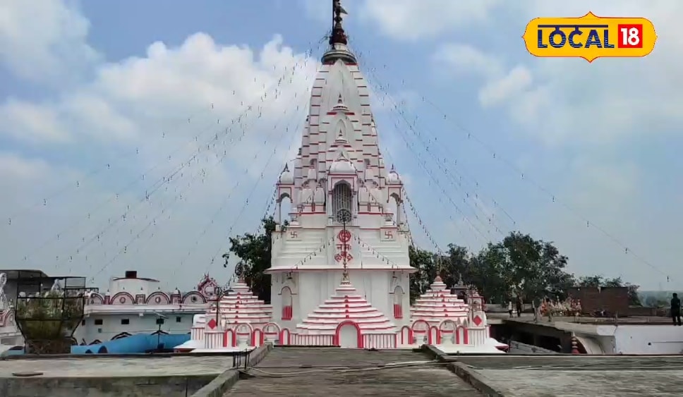 अक्षरा सिंह ने मटकाई अपनी कमर, 'बिल्लो रानी' बनकर किया बवाल डांस