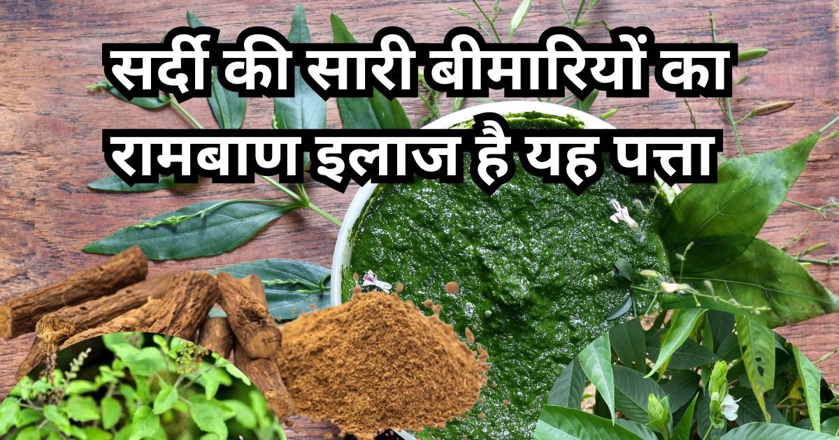 सर्दी में बंद नाक को खोलने वाली 5 आयुर्वेदिक हर्ब्स का करें सेवन, सांस से संबंधित हर समस्या से मिलेगी मुक्ति